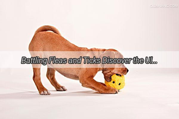 Battling Fleas and Ticks Discover the Ultimate Guide to Choosing the Best Dog Medication